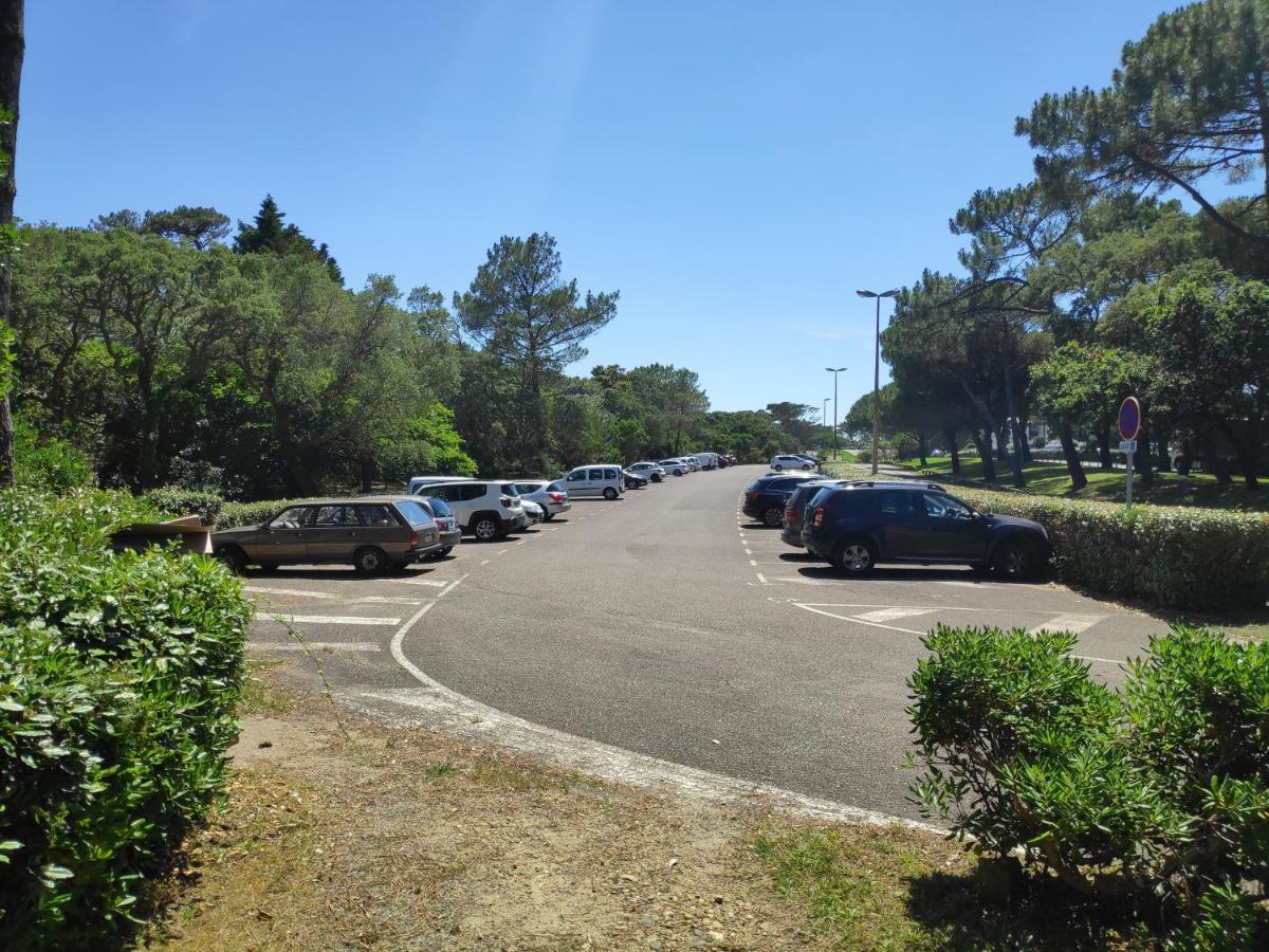 Appt Seignosse Le Penon - Plages Commerces A Pied Eksteriør bilde